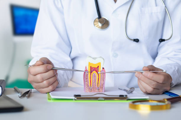 Best Pediatric Emergency Dentist in Thermalito, CA